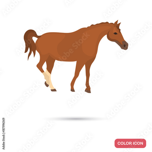Don s horse color flat icon