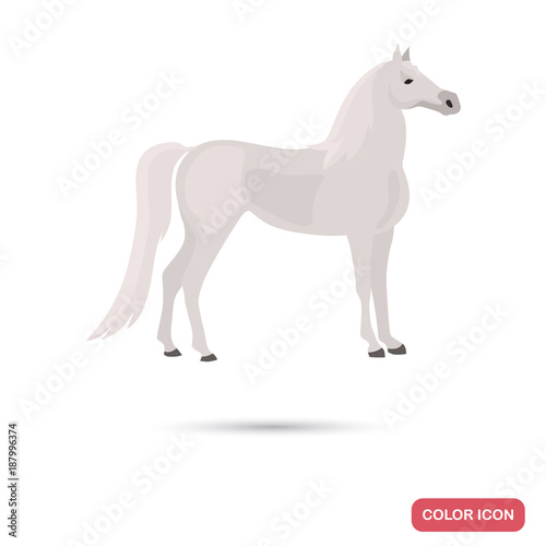 Iberian horse color flat icon