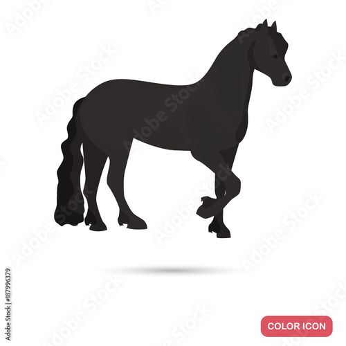 Friesian horse color flat icon