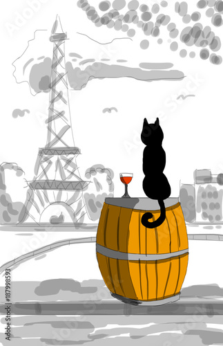 Kedi Ve Paris