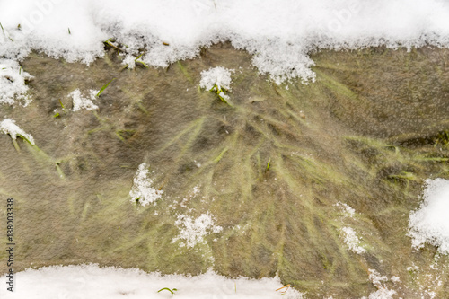 water covered with ice with frosen grass inside photo