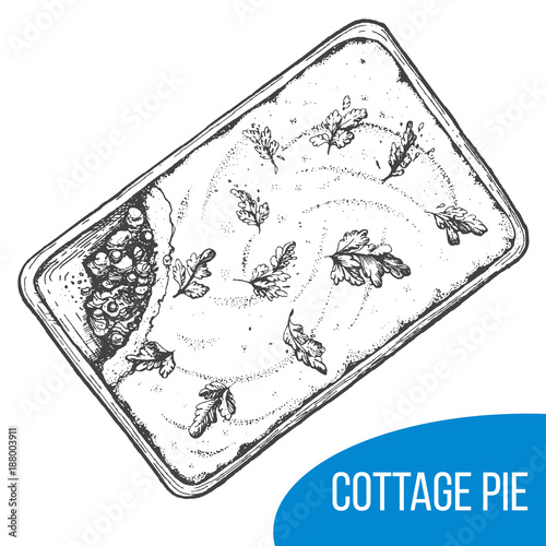 Sheppard pie sketch vector illustration. Engraved vintage hand drawn image.