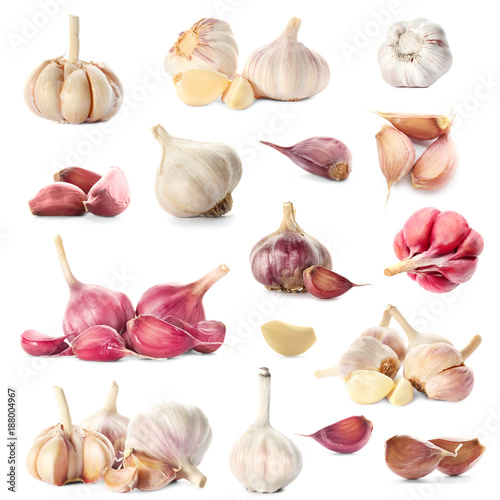 Set with raw fresh garlic on white background
