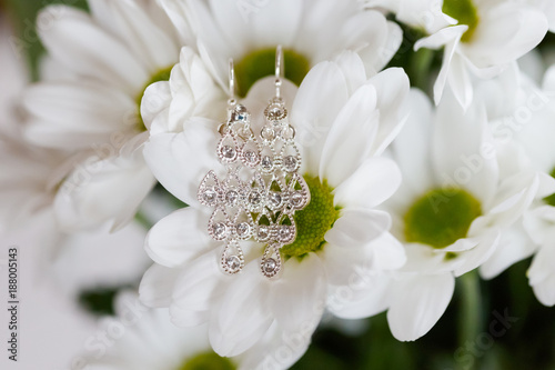Beautiful wedding jewellery earings detail