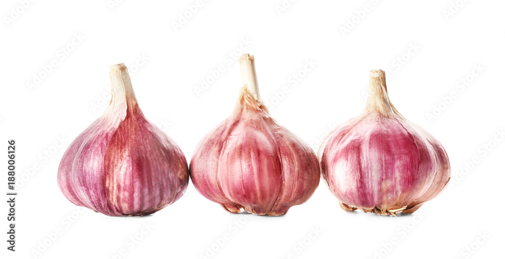 Fototapeta premium Fresh garlic heads on white background