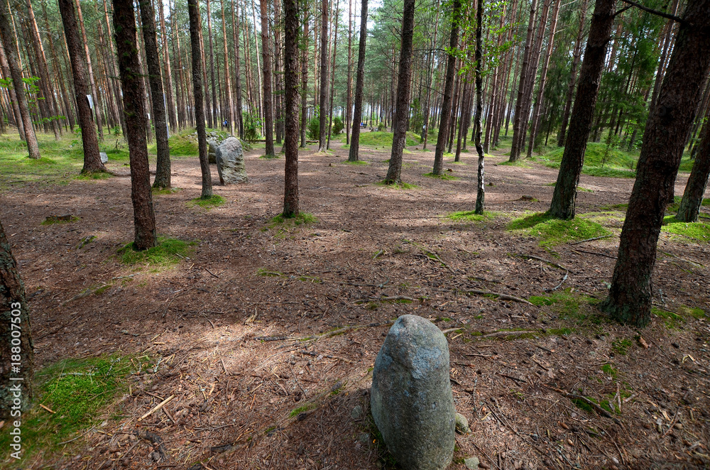 Tumuli in Wesiory (the ancient graveyard of Goths and Gepids)