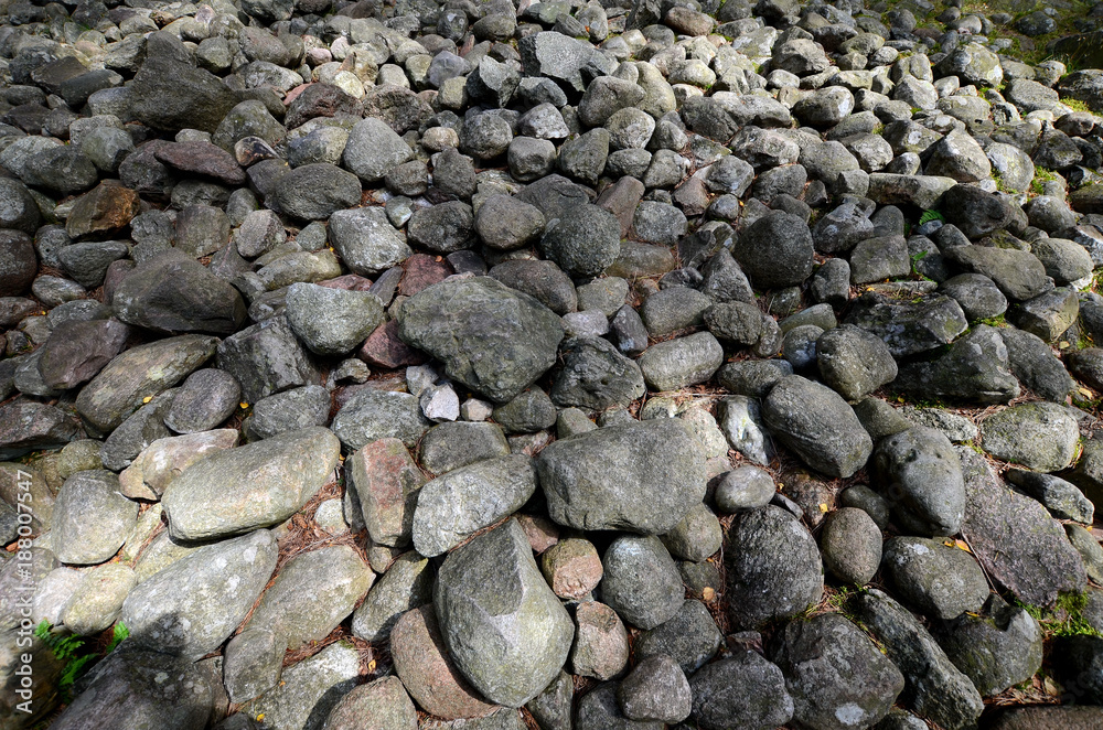 Tumuli in Wesiory (the ancient graveyard of Goths and Gepids)
