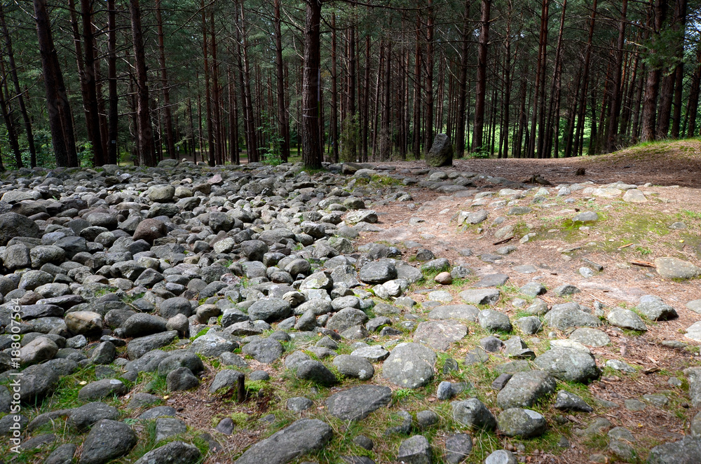 Tumuli in Wesiory (the ancient graveyard of Goths and Gepids)