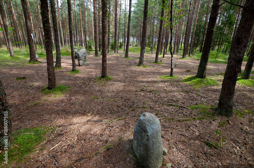 Obraz na płótnie Tumuli in Wesiory (the ancient graveyard of Goths and Gepids) w salonie