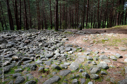 Obraz na płótnie Tumuli in Wesiory (the ancient graveyard of Goths and Gepids) w salonie