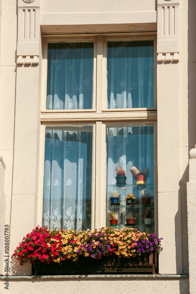 wooden  window with flower pots