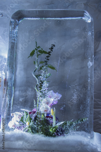 Ice sculpture of flowers in a frozen block of ice photo