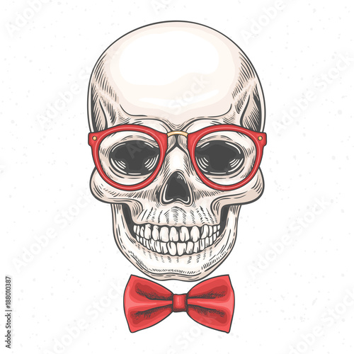 Hand drawn illustration of skull in glasses and a bow tie