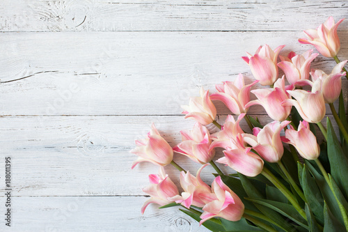 Pink tulips on a wooden background