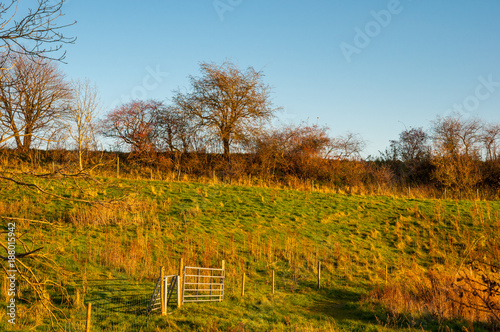 Countryside landscape in Denmark photo