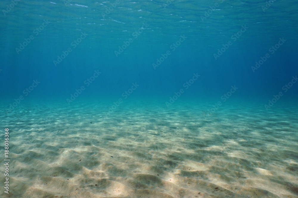 Underwater sand on a shallow seabed in the Mediterranean sea, natural scene, France