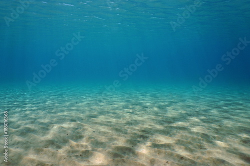 Underwater sand on a shallow seabed in the Mediterranean sea, natural scene, France
