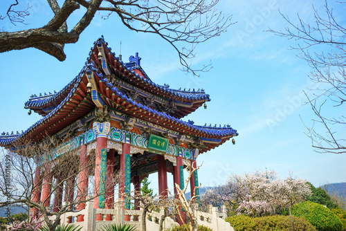Pavilion under the plum blossom, located in Zijin Mountain Scenic Area, Nanjing, Jiangsu, China.