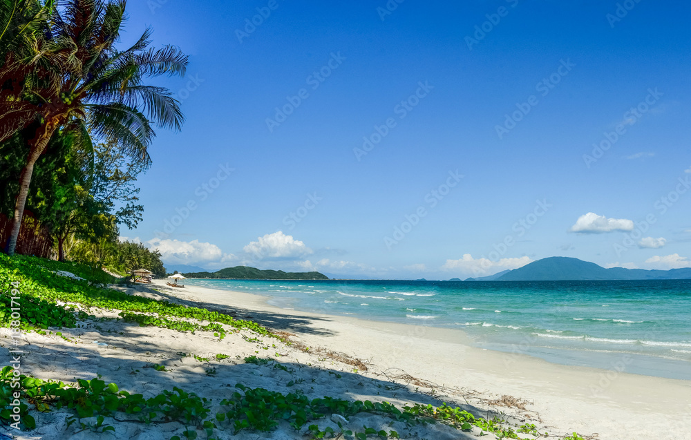 View of a tropical beach with blue sky in sunny day