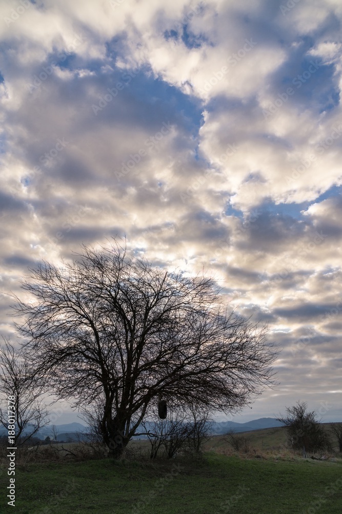 Sunset on meadow with hills and tree. Slovakia Sunset on meadow with hills and tree. Slovakia