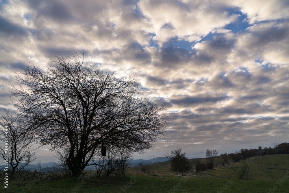 Sunset on meadow with hills and tree. Slovakia Sunset on meadow with hills and tree. Slovakia