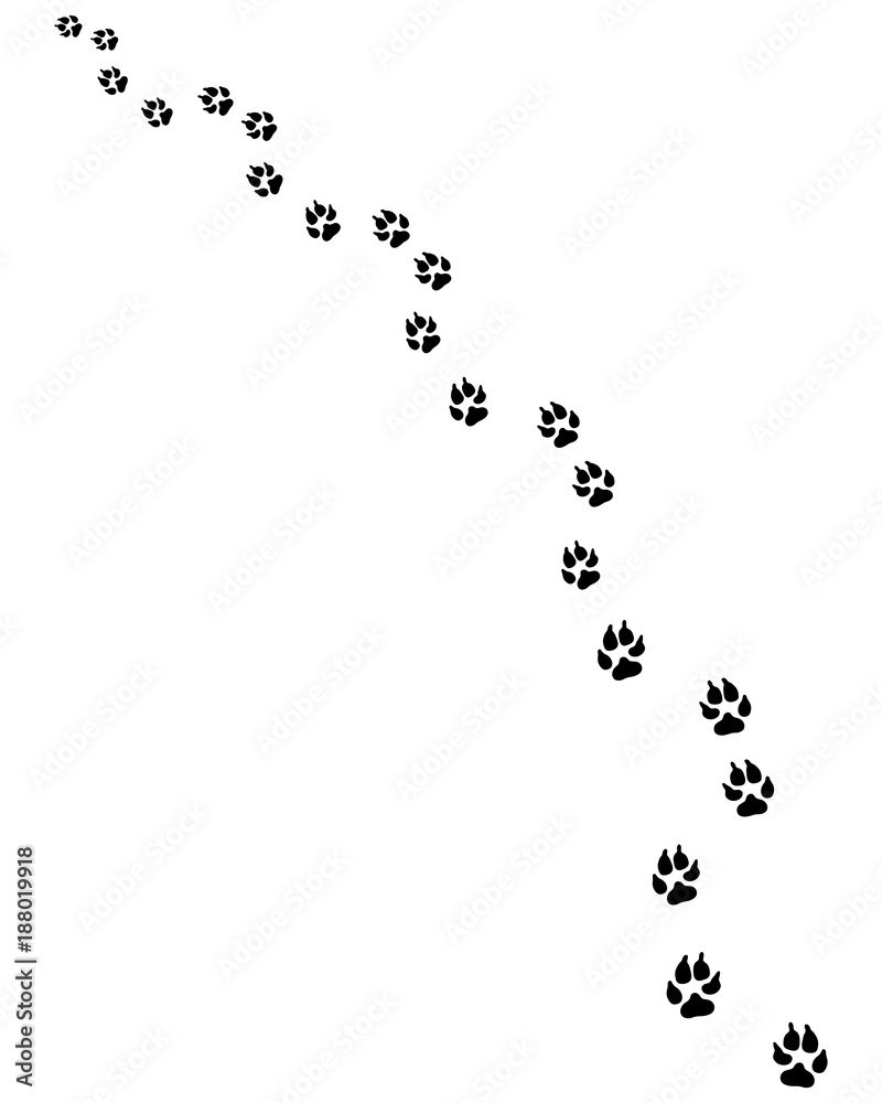 Footprints of dog, turn right or left Footprints of dog, turn right or left