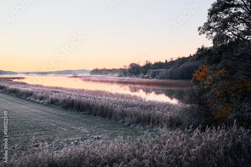 Golden morning