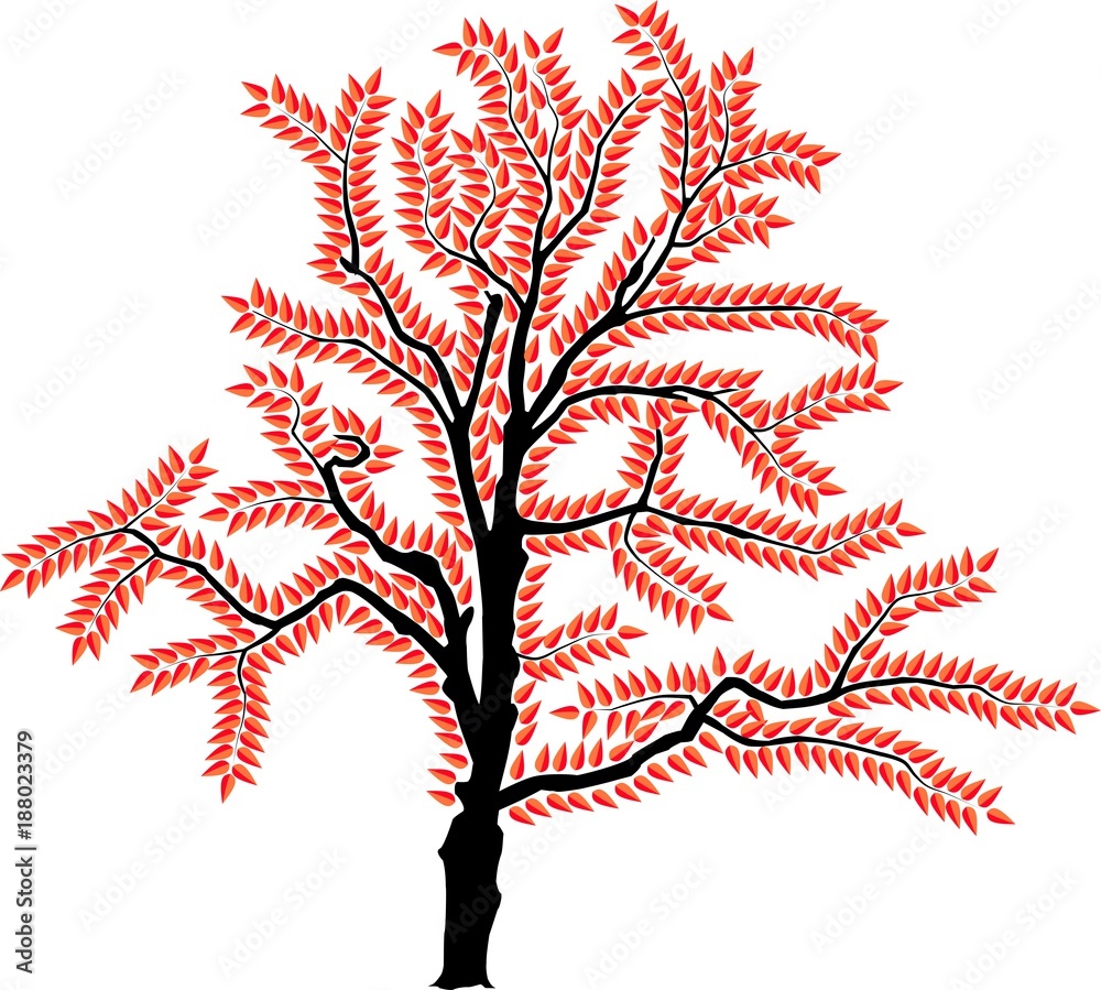 Fototapeta premium vector image of a tree in autumn