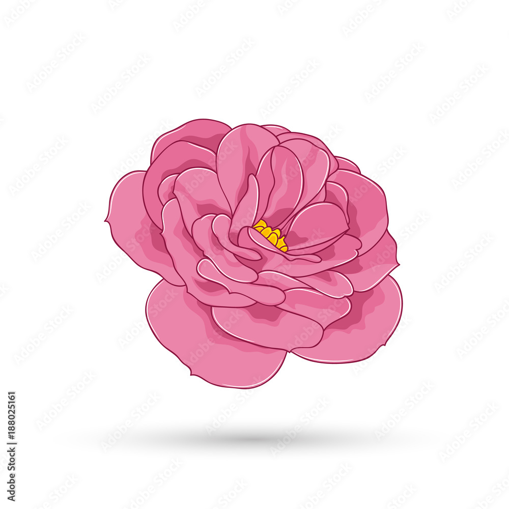 Rose flower drawn by hand in the cartoon style. A sweet and gentle element for design, scrapbooking, postcards, children's books, invitations, congratulations. Rose flower drawn by hand in the cartoon style. A sweet and gentle element for design, scrapbooking, postcards, children's books, invitations, congratulations.