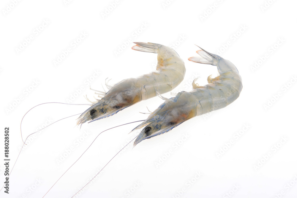 Fresh prawns isolated on a white background Fresh prawns isolated on a white background