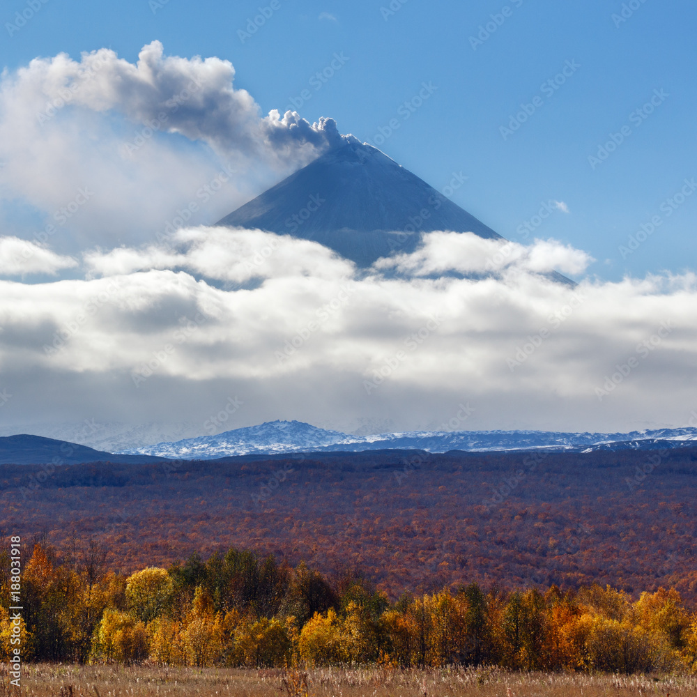 Beautiful autumn landscape: eruption of Klyuchevskaya Sopka (Klyuchevskoy Volcano) powerful plume of gas, steam, ash from crater and colorful autumnal forest at foot of active volcano on sunny day. Beautiful autumn landscape: eruption of Klyuchevskaya Sopka (Klyuchevskoy Volcano) powerful plume of gas, steam, ash from crater and colorful autumnal forest at foot of active volcano on sunny day.
