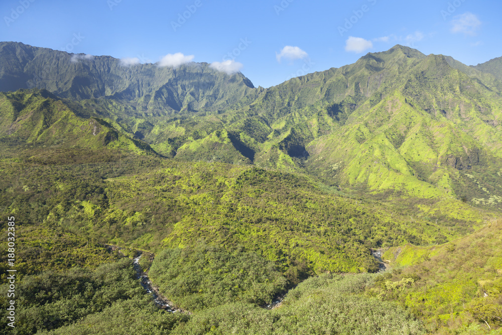 Kauai Tropical Rain Forest, Hawaii