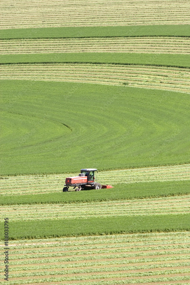 Fototapeta premium Farming