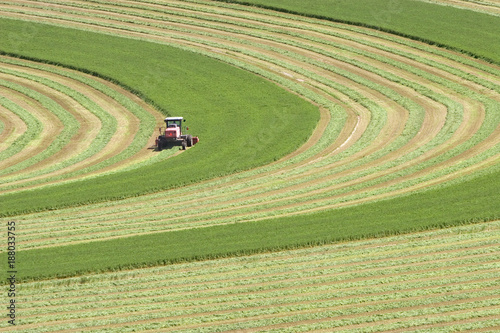 Bild auf Leinwand Farming