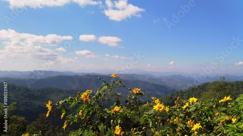 Asian mountains, UHD pan view of flowers at kiew lom viewpoint, on a sunny autumn day, in the mountainsn near Pai, in Thailand photo