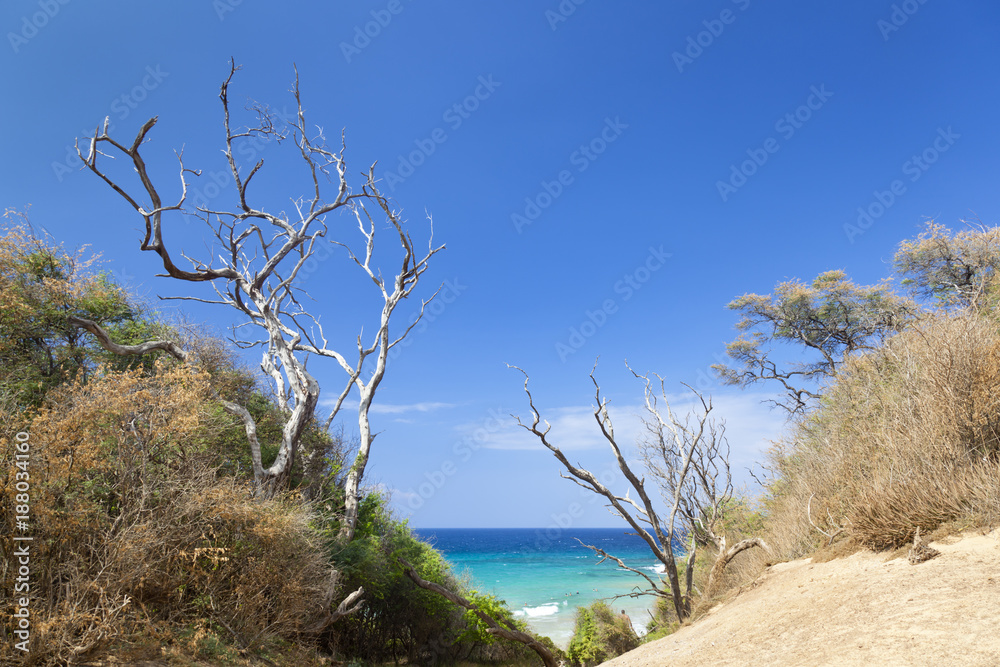 Makena Beach Footpath, Maui