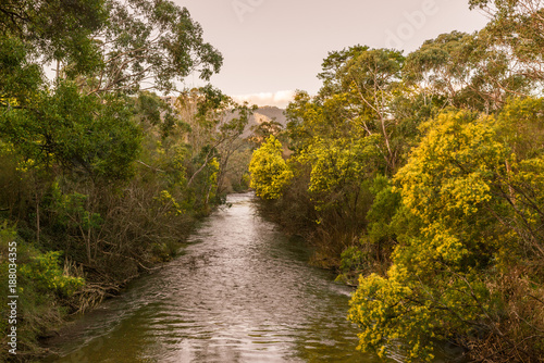 Buckland River in Porehpunkah, VIC - Mountain creek valley Australian Alpine landscape at sunset photo