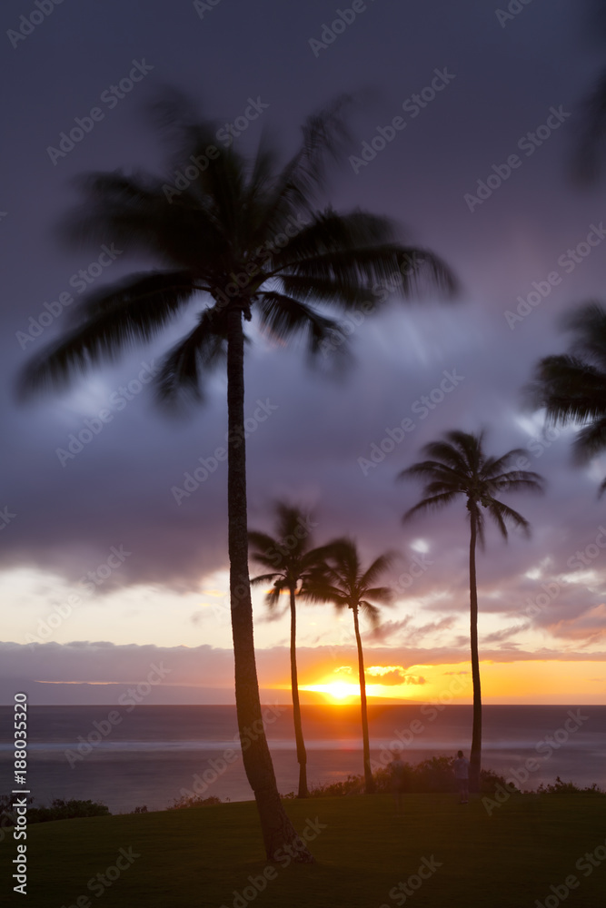 Palm Tree Sunset At Napili Point, Maui