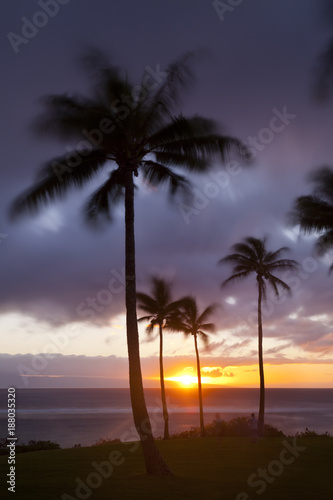 Palm Tree Sunset At Napili Point, Maui © IndustryAndTravel