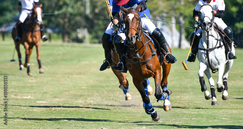 Horse Speed in Polo
