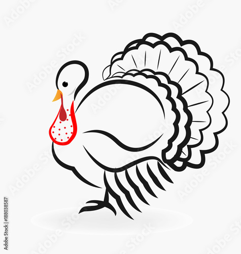Turkey animal vector