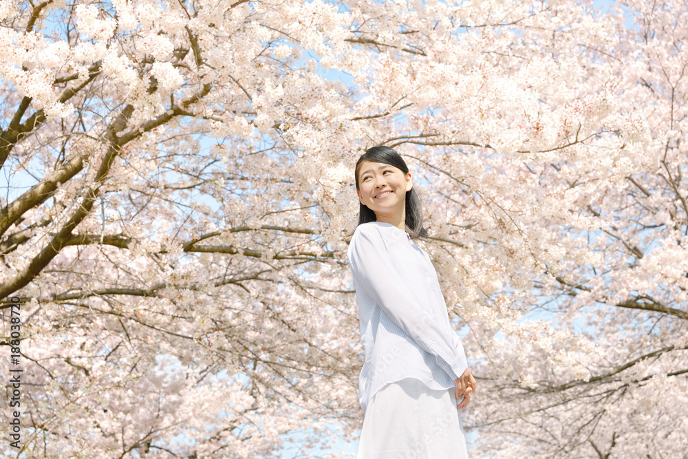 女性 桜 女性 桜