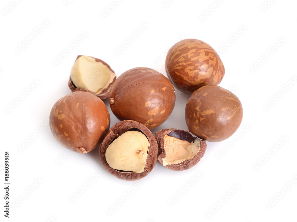 Macadamia nuts isolated on white background Macadamia nuts isolated on white background