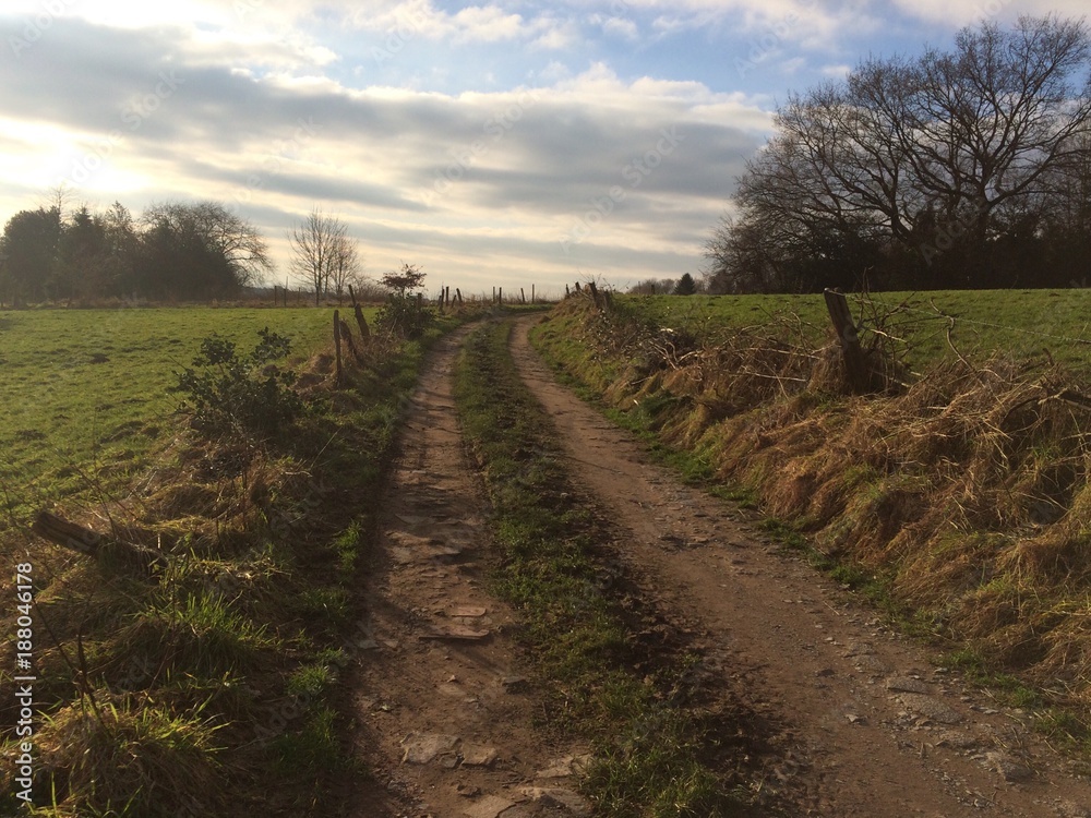 Feldweg im Winter