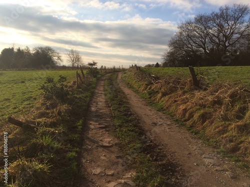 Feldweg im Winter