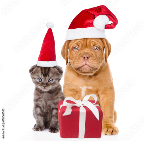 puppy and small kitten in red santa hats sitting together with gift box. isolated on white background © Ermolaev Alexandr