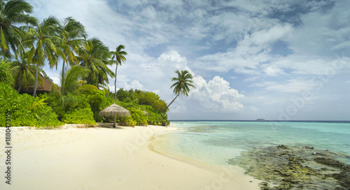 beautiful sand beach with palm trees and coral reef in sunshine day on Maldives island