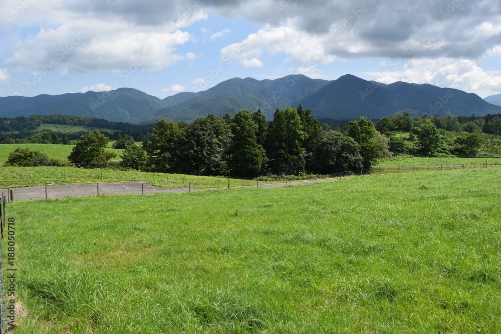 Obraz premium 月山高原牧場 ／ 山形県鶴岡市羽黒町にある月山高原牧場は、約100haの緑のジュウタンが広がり、雄大な高原の中で牛や羊を眺められます。高原からの眺めは最高で、ひそかな観光ポイントになっています。
