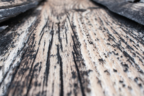 Perspective view of gray obsolete wooden texture with cracks. Selective focus.