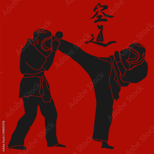 Kudo martial arts fighters illustration